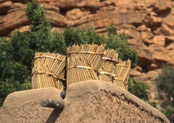 Habitants du sud-sahel