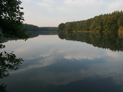 <strong>Lire la suite</strong><br>Finois (peuples) Finois (peuples)
