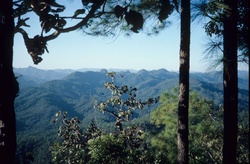 <strong>Lire la suite</strong><br>Culture Karen Culture Karen