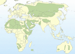 <strong>Lire la suite</strong><br>les peuples nomades les peuples nomades