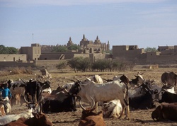 <strong>Lire la suite</strong><br>Géographie du Sahel Géographie du Sahel