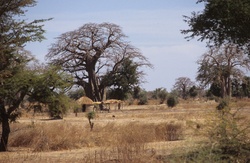 Afrique de l'ouest - géographie