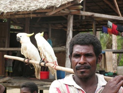 <strong>Lire la suite</strong><br>Les langues parlées en Nouvelle Guinée Les langues parlées en Nouvelle Guinée