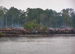 <strong>Lire la suite</strong><br>Les peuples des forêts d’Océanie équatoriale Les peuples des forêts d’Océanie équatoriale