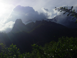 <strong>Lire la suite</strong><br>îles hautes et îles basses de Polynésie îles hautes et îles basses de Polynésie
