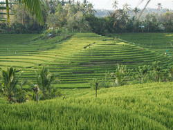 <strong>Lire la suite</strong><br>Cultures des peuples et la géographie Cultures des peuples et la géographie