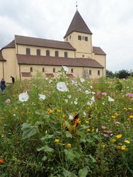 <strong>Lire la suite</strong><br>Cultures nord européennes ( Celte, Germanique, Scandinave) Cultures nord européennes ( Celte, Germanique, Scandinave)