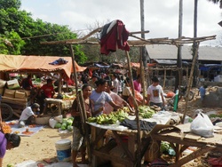 <strong>Lire la suite</strong><br>Roti (les habitants) Roti (les habitants)