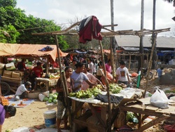 <strong>Lire la suite</strong><br>Roti (les habitants) Roti (les habitants)