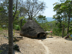 <strong>Lire la suite</strong><br>Les Timorais (les ethnies) Les Timorais (les ethnies)