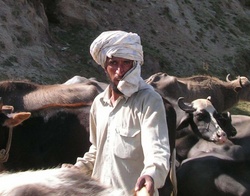 <strong>Lire la suite</strong><br>Peuples Indo-Aryens Peuples Indo-Aryens