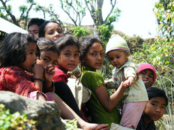 <strong>Lire la suite</strong><br>Les Indo-népalais Les Indo-népalais