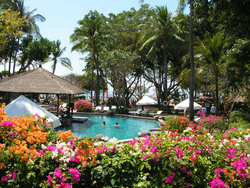 <strong>Lire la suite</strong><br>Balinais - économie Balinais - économie