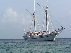 <strong>Lire la suite</strong><br>Pinisi : bateaux traditionnels indonésiens Pinisi : bateaux traditionnels indonésiens