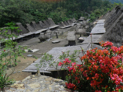 <strong>Lire la suite</strong><br>Ngada Ngada