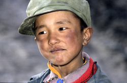 Le plateau tibétains est peuplé à 70% de tibétains