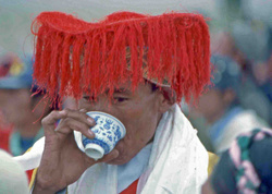 <strong>Lire la suite</strong><br>Cultures - (déf.) Cultures - (déf.)