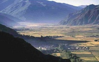 Previous