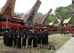 Rites funéraires Toraja