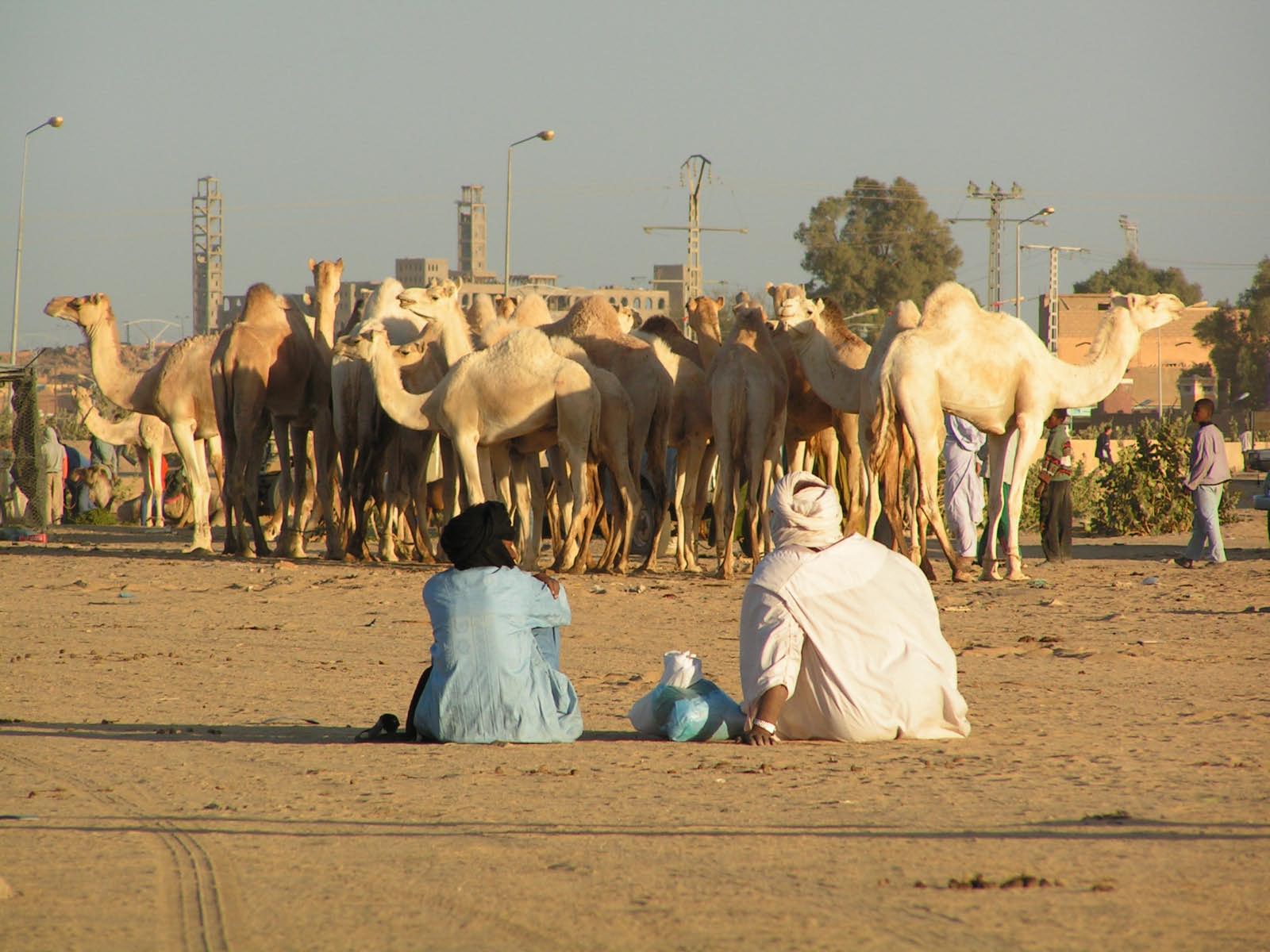 touareg et caravaniers
