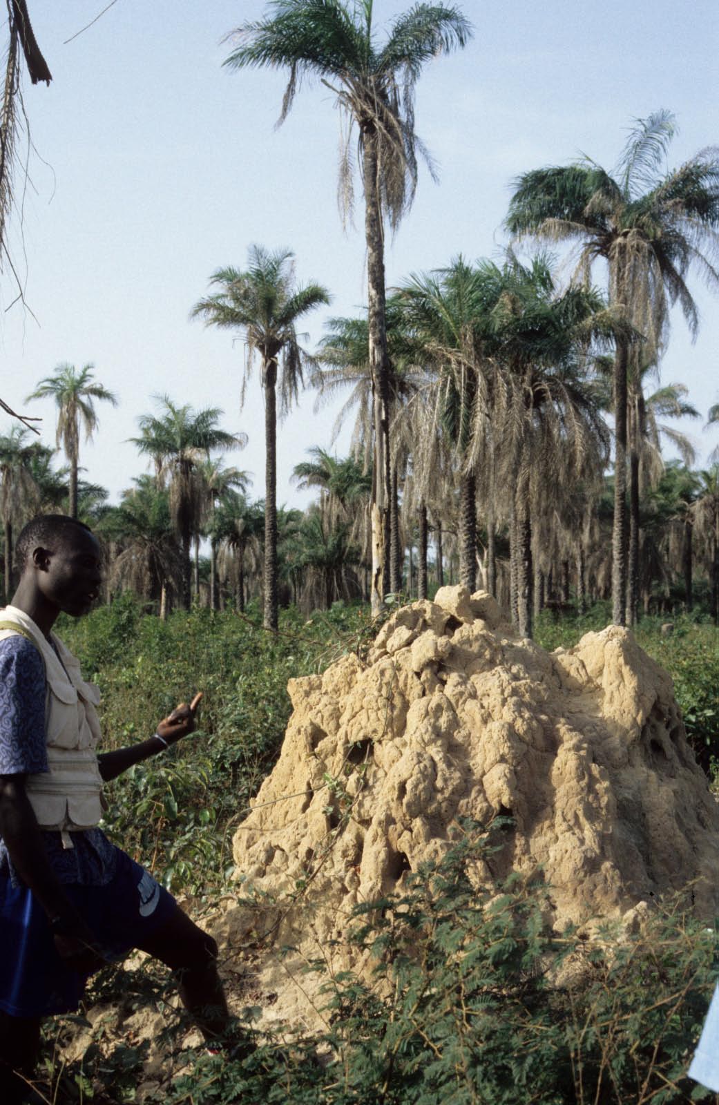 afrique atlantique 