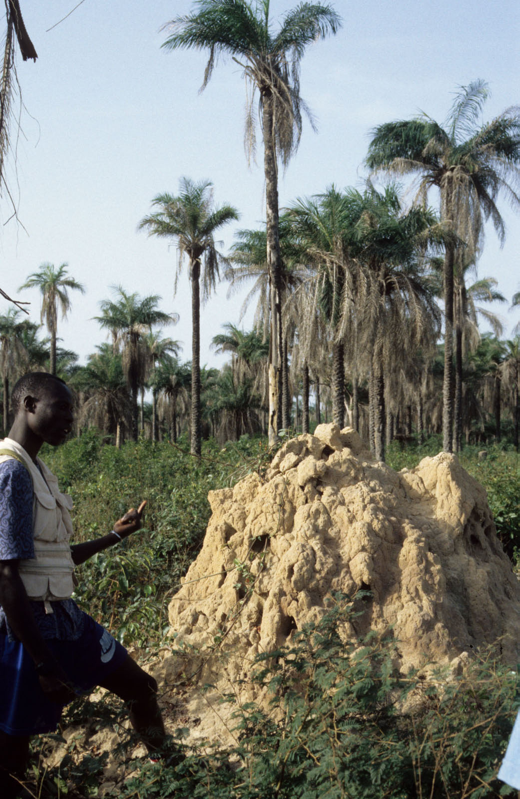 peuples du Sénégal