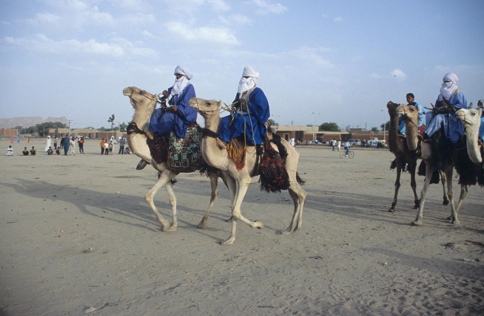 Touaregs et leurs méhari