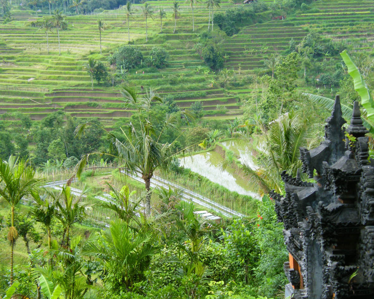 bali temples 12