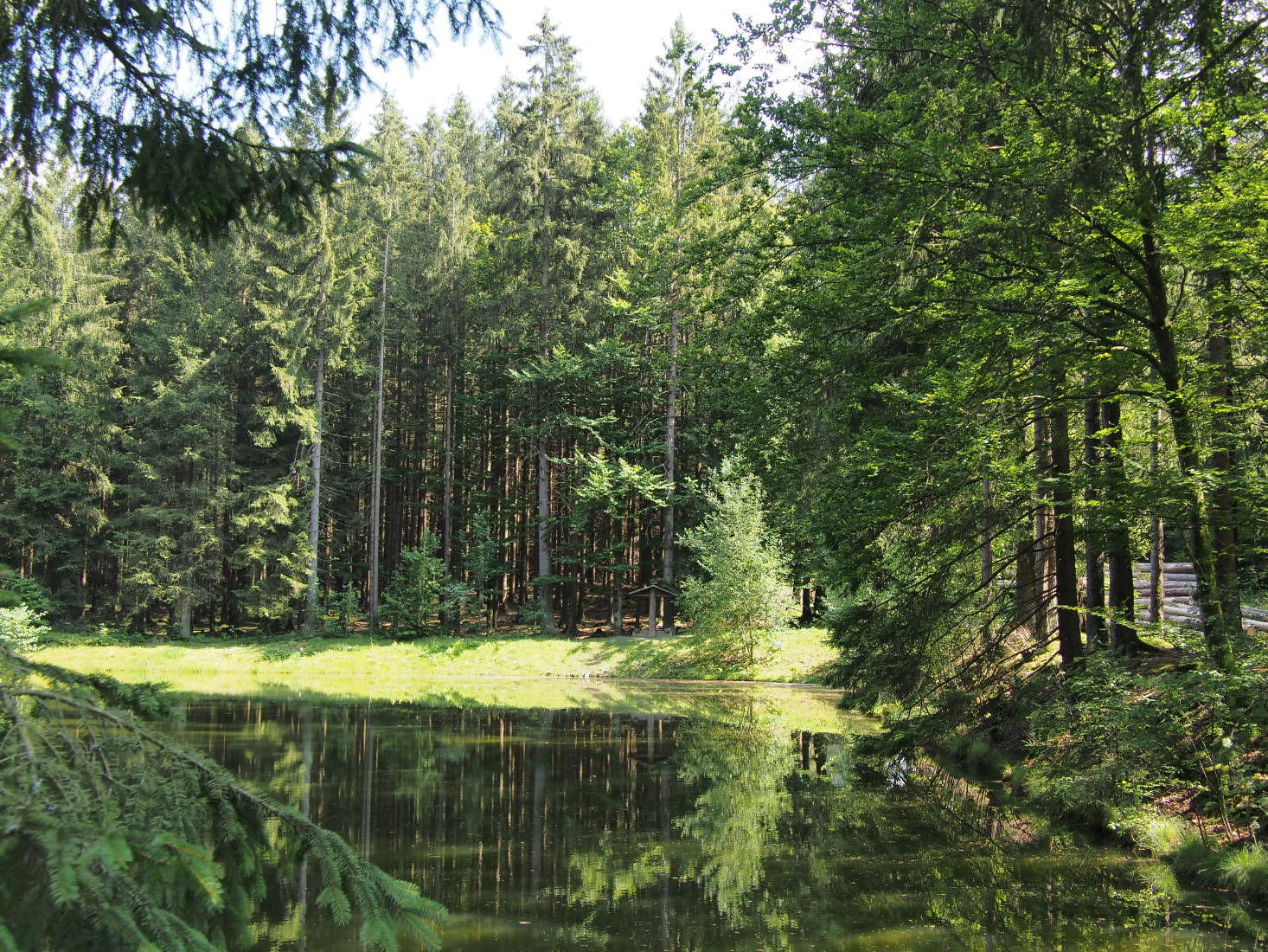 forets de Tchéquie