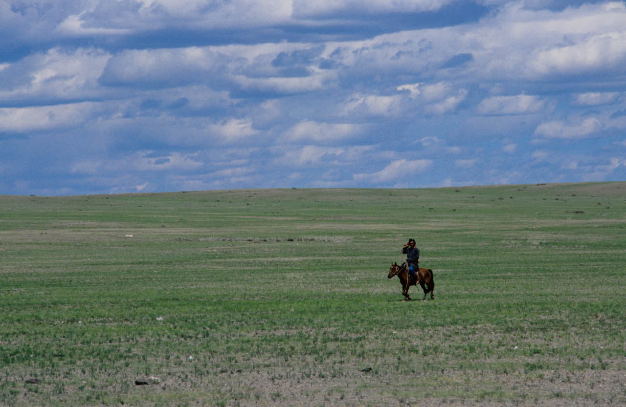 steppes