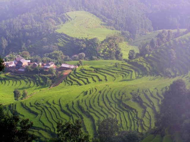 ghorka rizières 