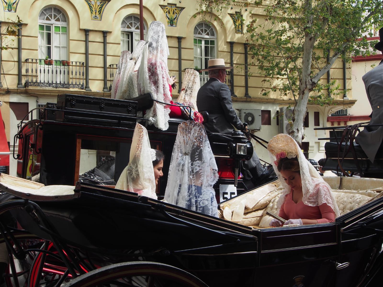 Espagnols d'Andalousie Espagnols d'Andalousie