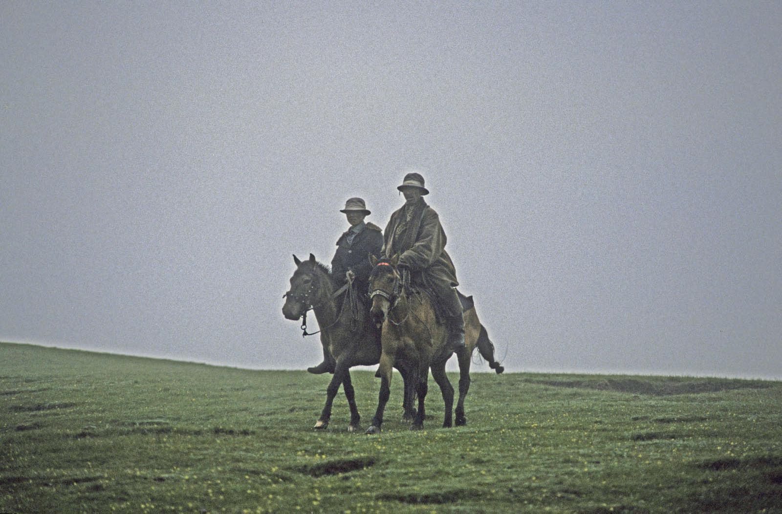 cavalier du Kham